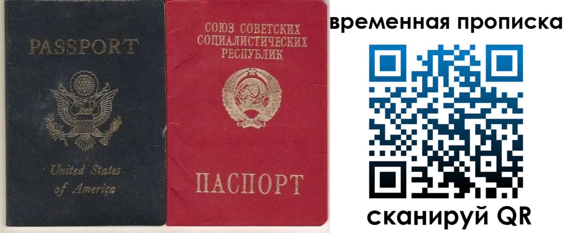 прописка для школы в ЕАО